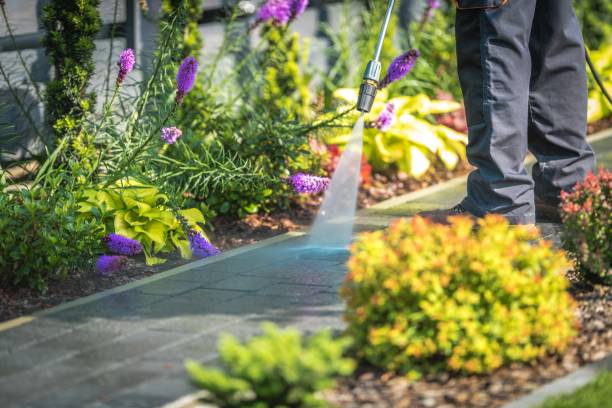 Best Animal Enclosure Cleaning  in North Decatur, GA
