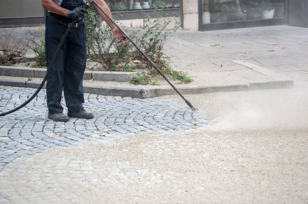 Best Gutter Cleaning  in North Decatur, GA